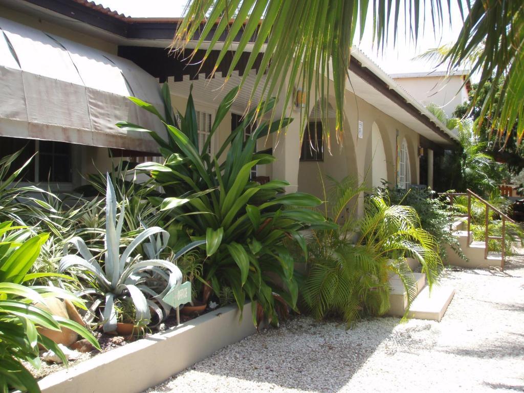 Bananas Apartments Palm Beach Bagian luar foto