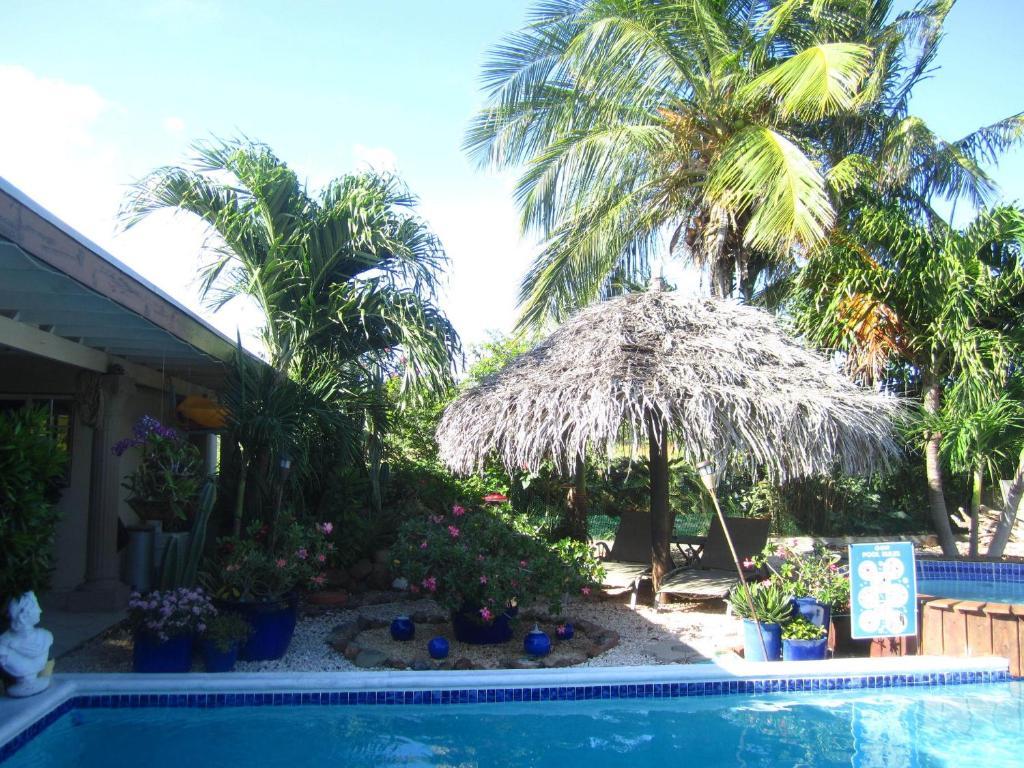 Bananas Apartments Palm Beach Bagian luar foto
