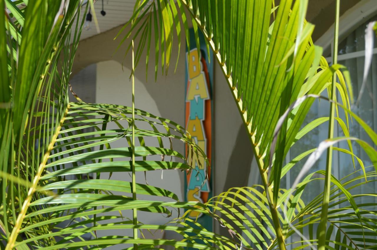 Bananas Apartments Palm Beach Bagian luar foto